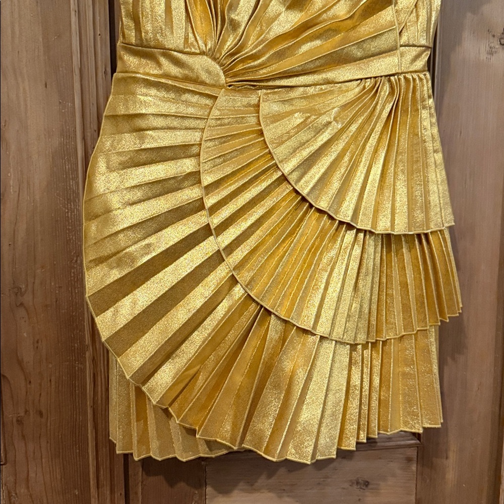 Acler Pleated Mini Dress - Picture 6 of 11